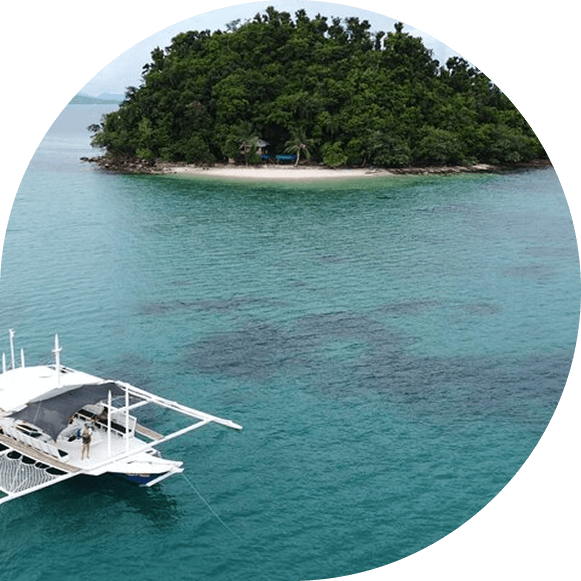 Luxury boat transfers